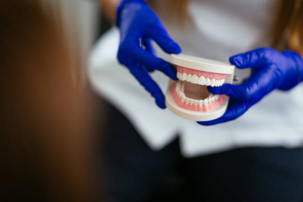 Professional  Holistic Dental Services in Eastman, GA